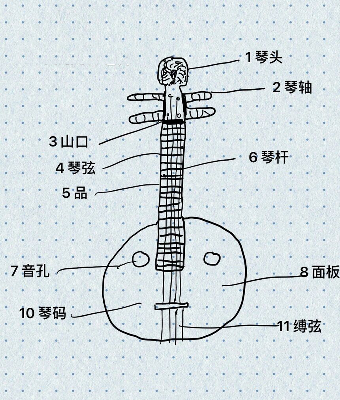 中阮乐器介绍图片