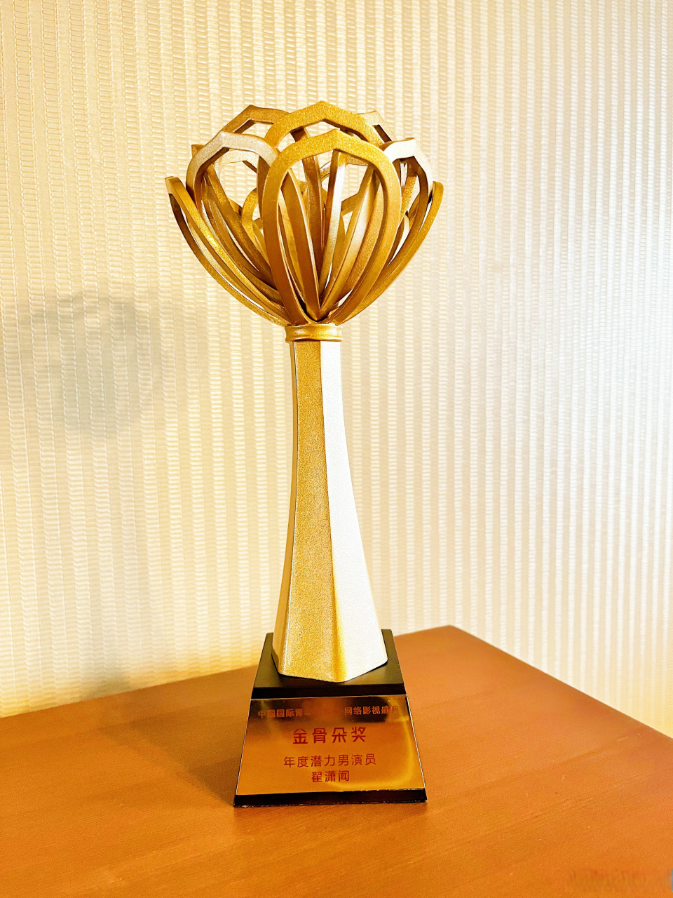 金骨朵网络影视盛典# 感谢肯定,未来请多指教.