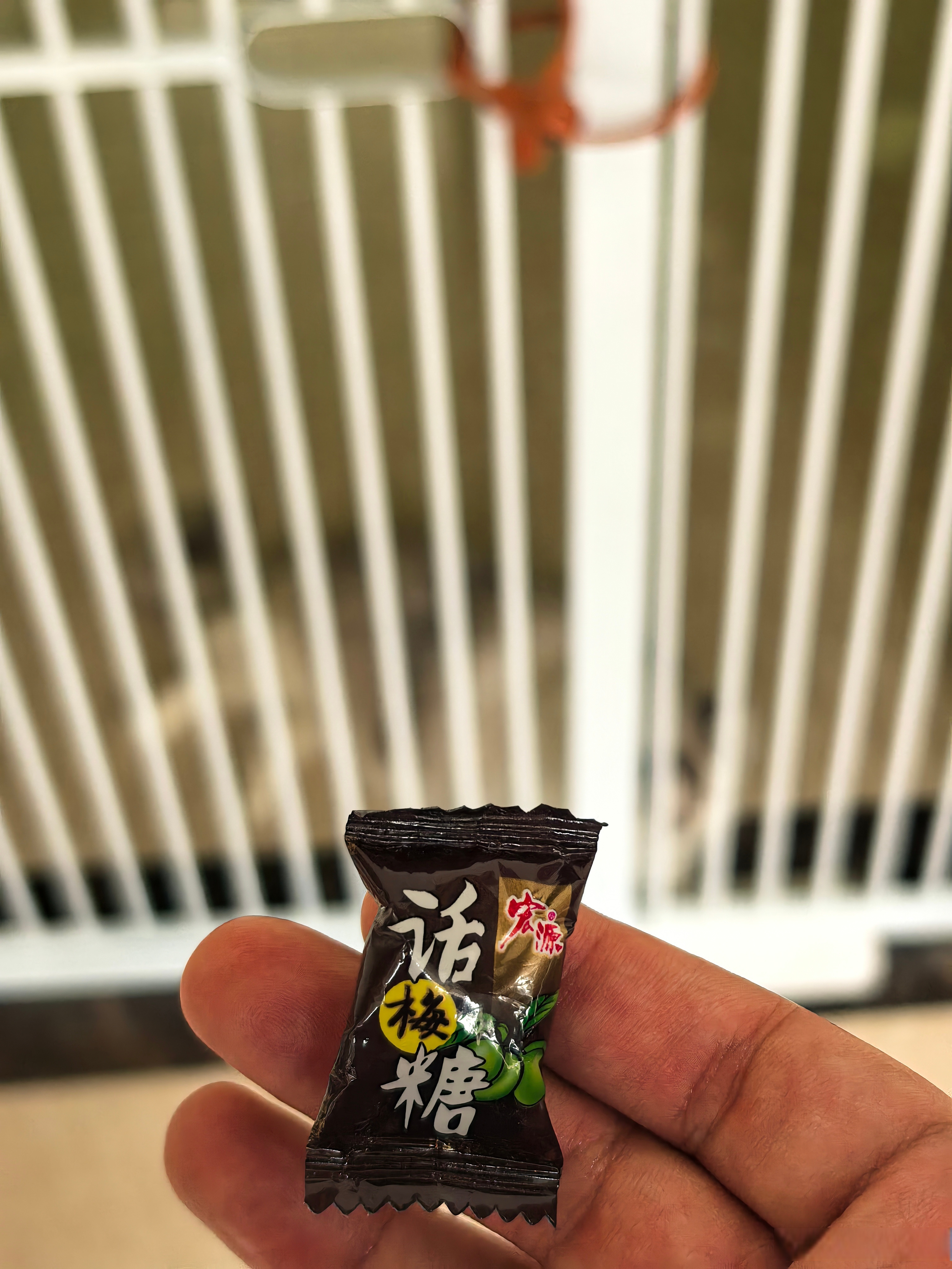 给孩子讲题,送了我颗糖. 做ppt.开会.做视频