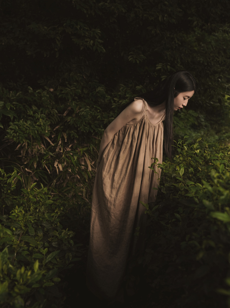 犬吠水声中,桃花带雨浓. 树深时见鹿,溪午不闻钟.