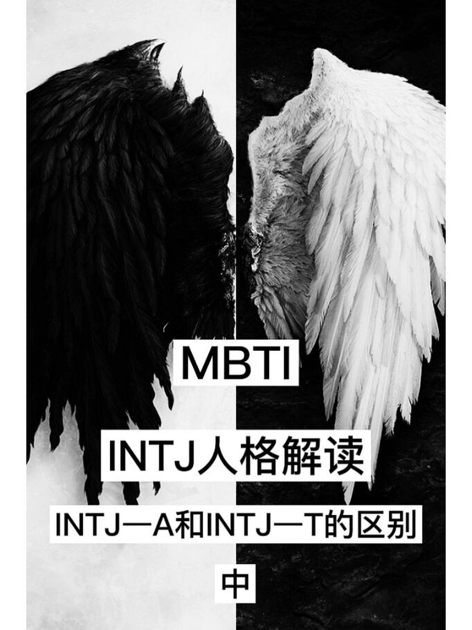 intj-a图片