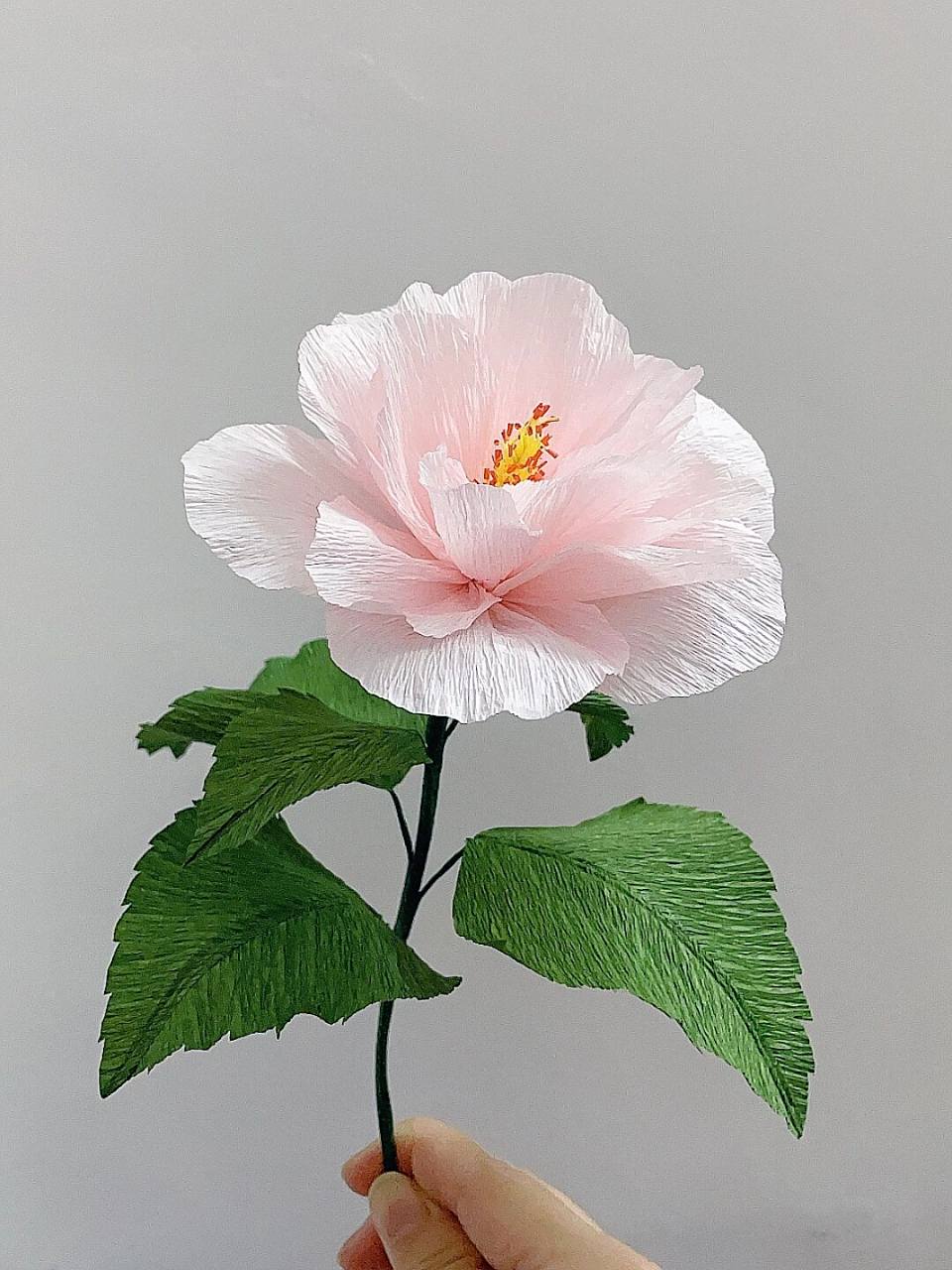 98褶皱纸花|手工永生花の浅粉色双芙蓉花 727272花の物语72