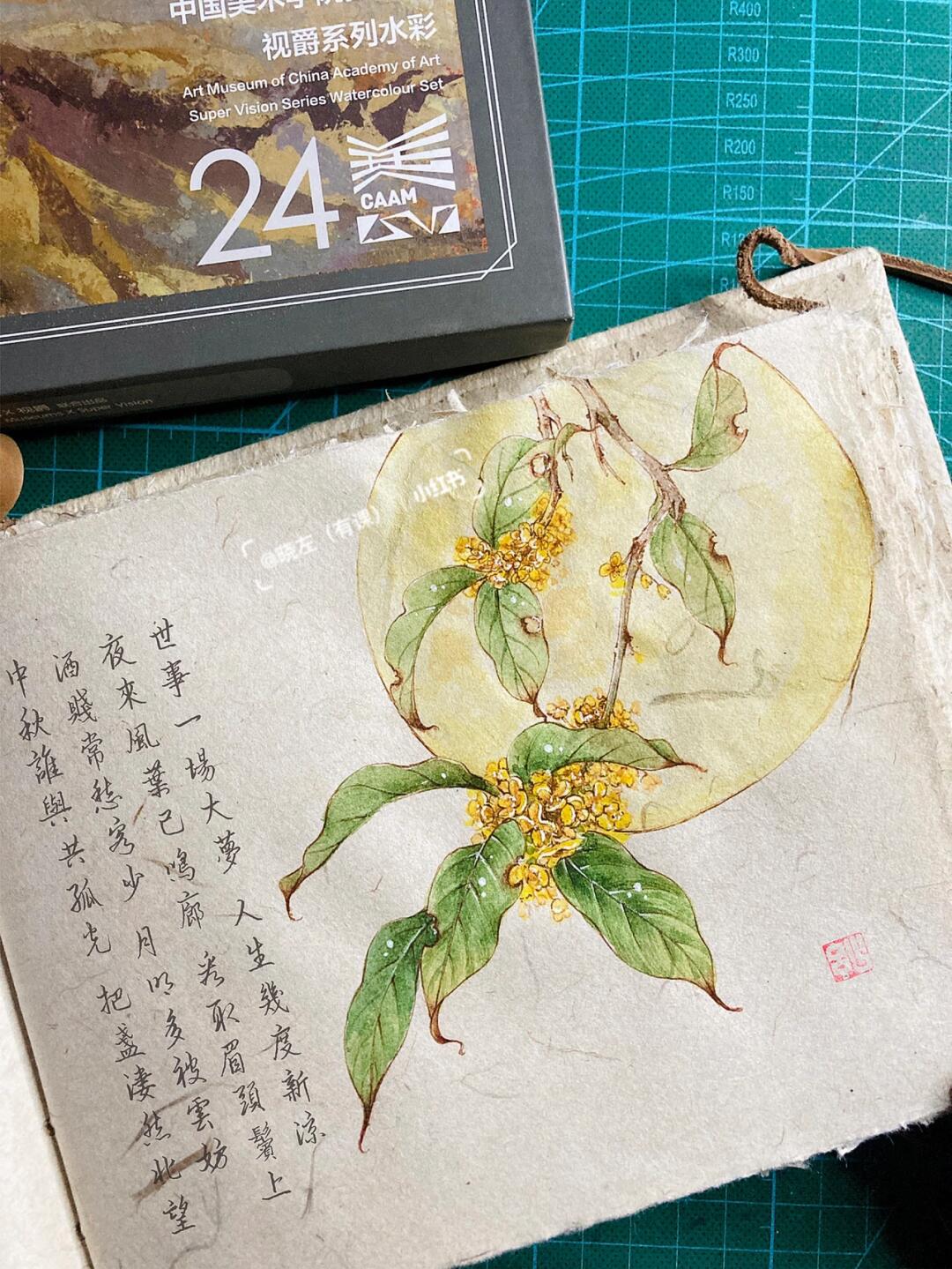 复古钢笔淡彩:中秋桂花