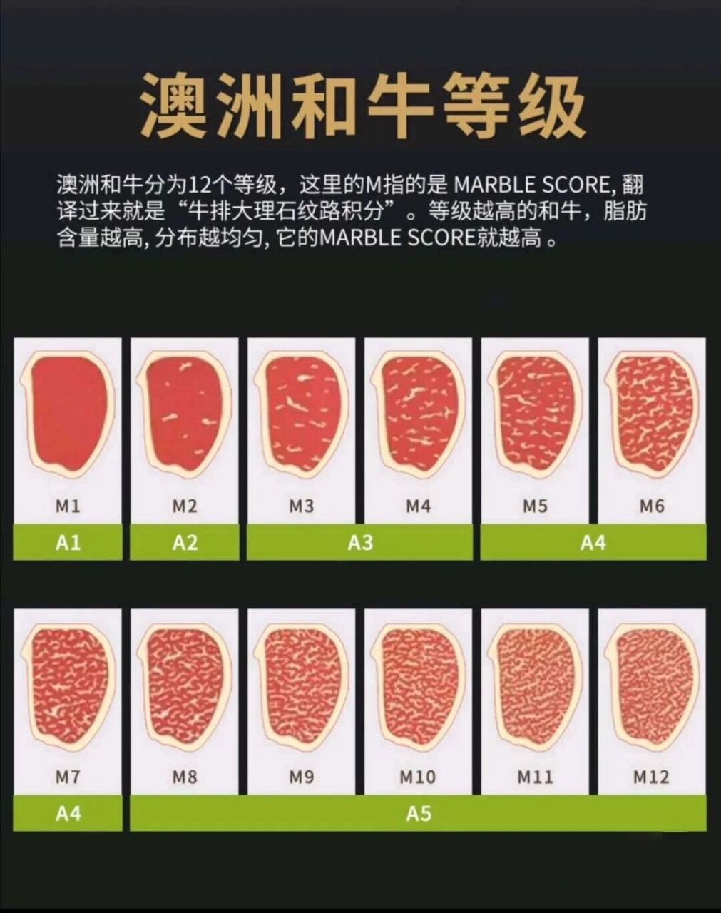 澳洲和牛等级区分6015教你怎么挑牛肉～科普 牛排中脂肪越丰富