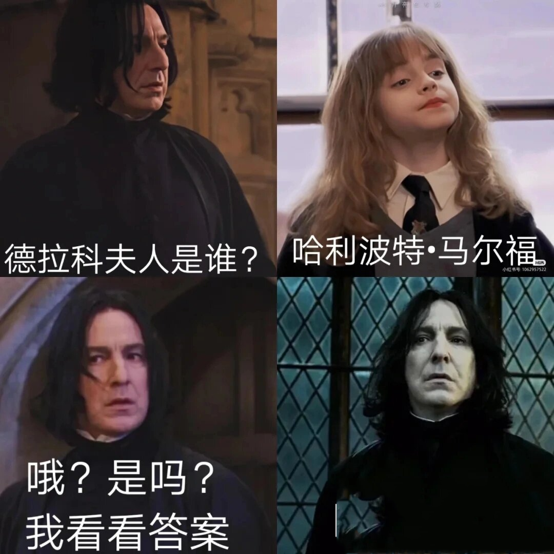 德哈表情包1 德哈党不进后悔0195959697