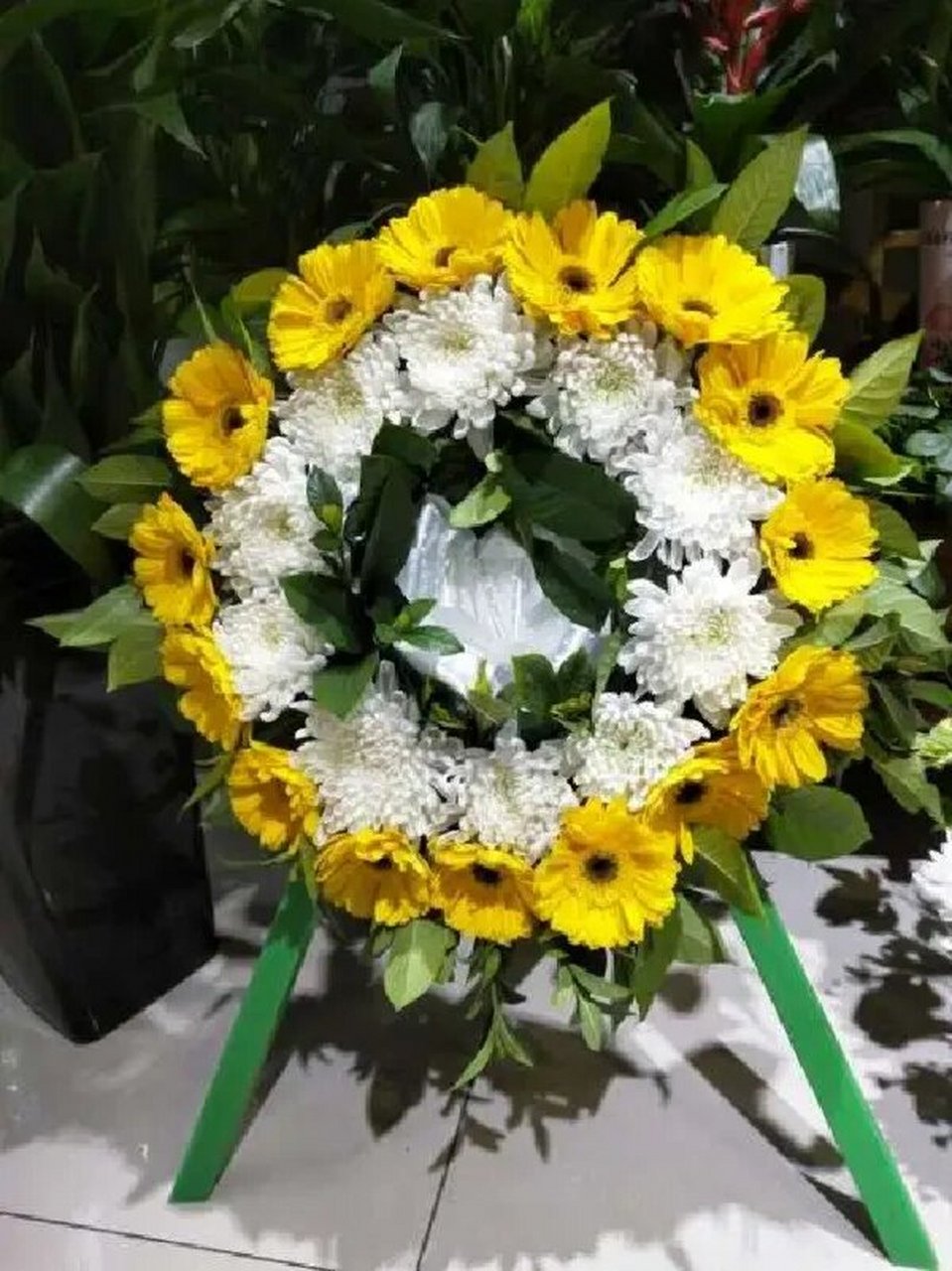 清明前后,许多人会带上鲜花去扫墓,以缅怀去世的亲人.