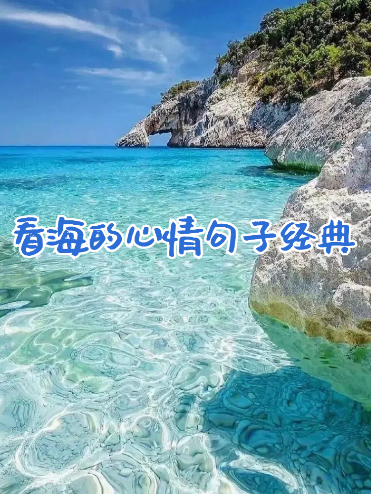 看海的心情句子经典