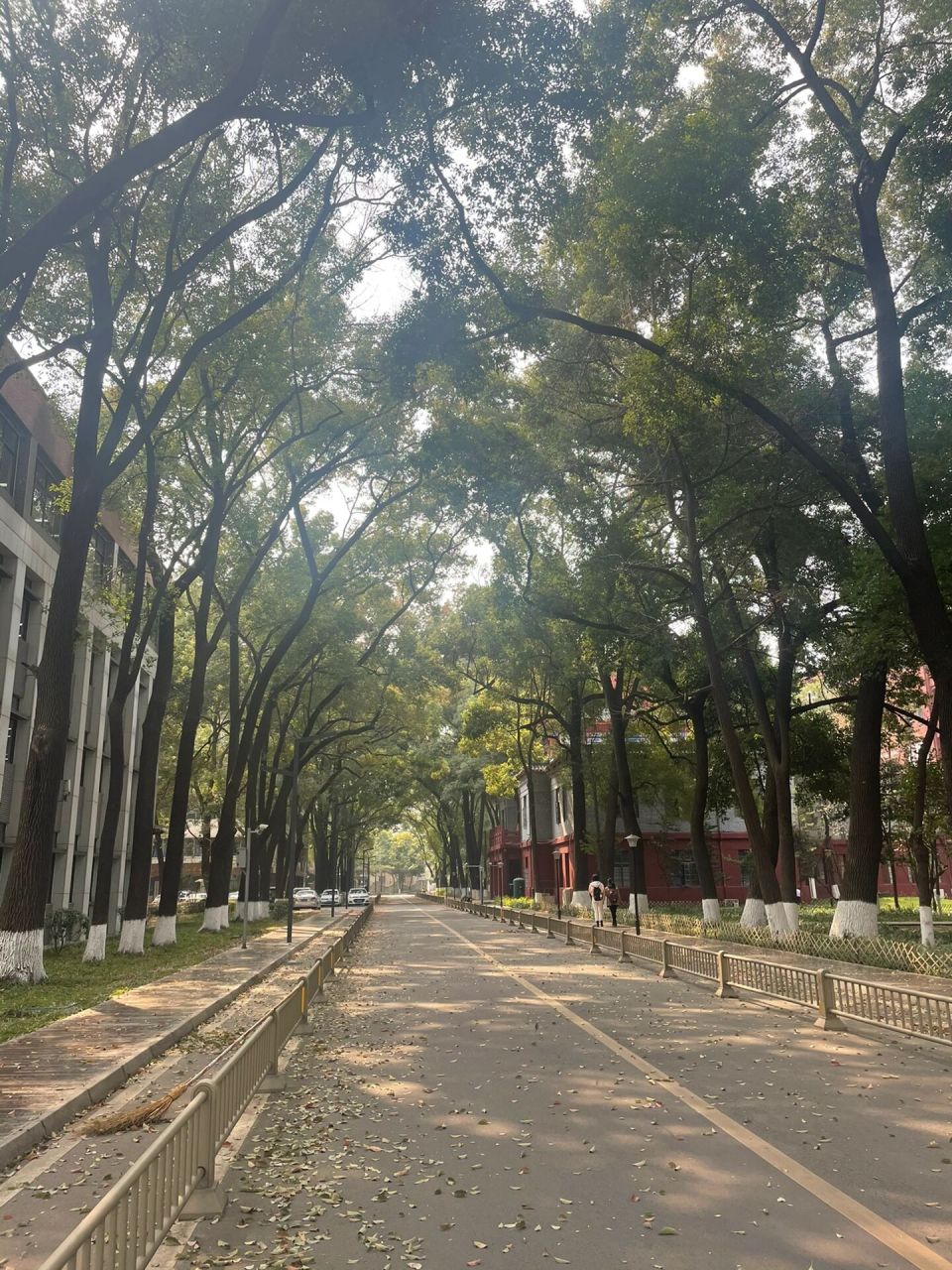 川大望江校区可进了 早就想带小朋友进川大感受下大学的氛围.疫情三年