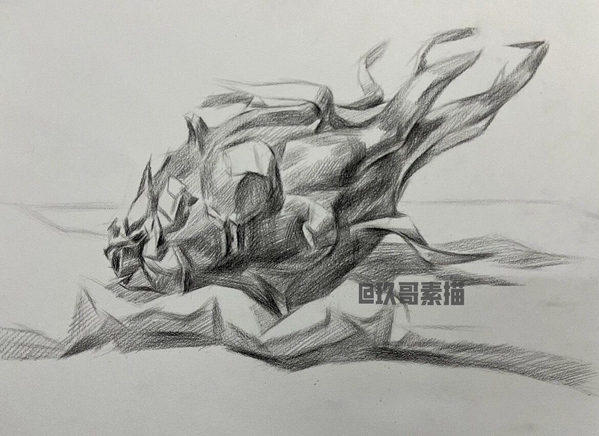 素描单体之火龙果