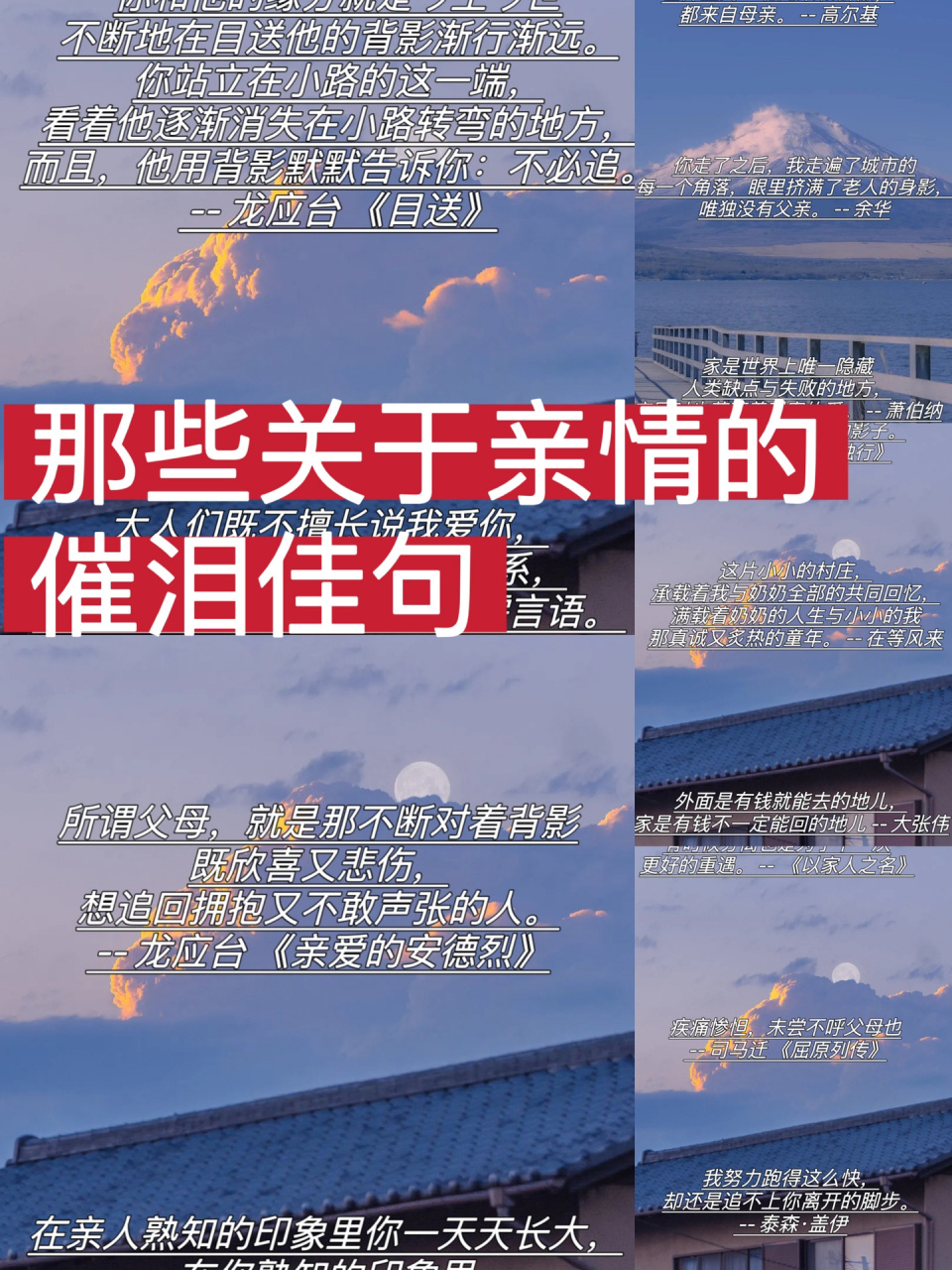 文案分享 | 那些关于亲情的催泪佳句  我慢慢地,慢慢地了解到,所谓