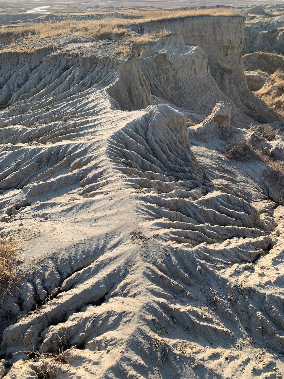 1,吉林省乾安泥林国家地质公园位于吉林省松原市乾安县西南部40千米处