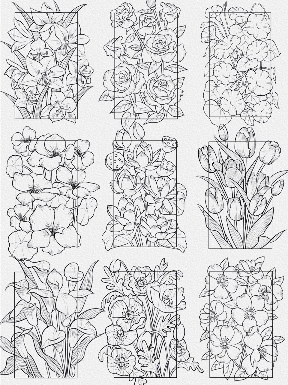 画画日常 | 第三波九宫格花卉线稿合集🌸 又又又解锁花卉线稿啦