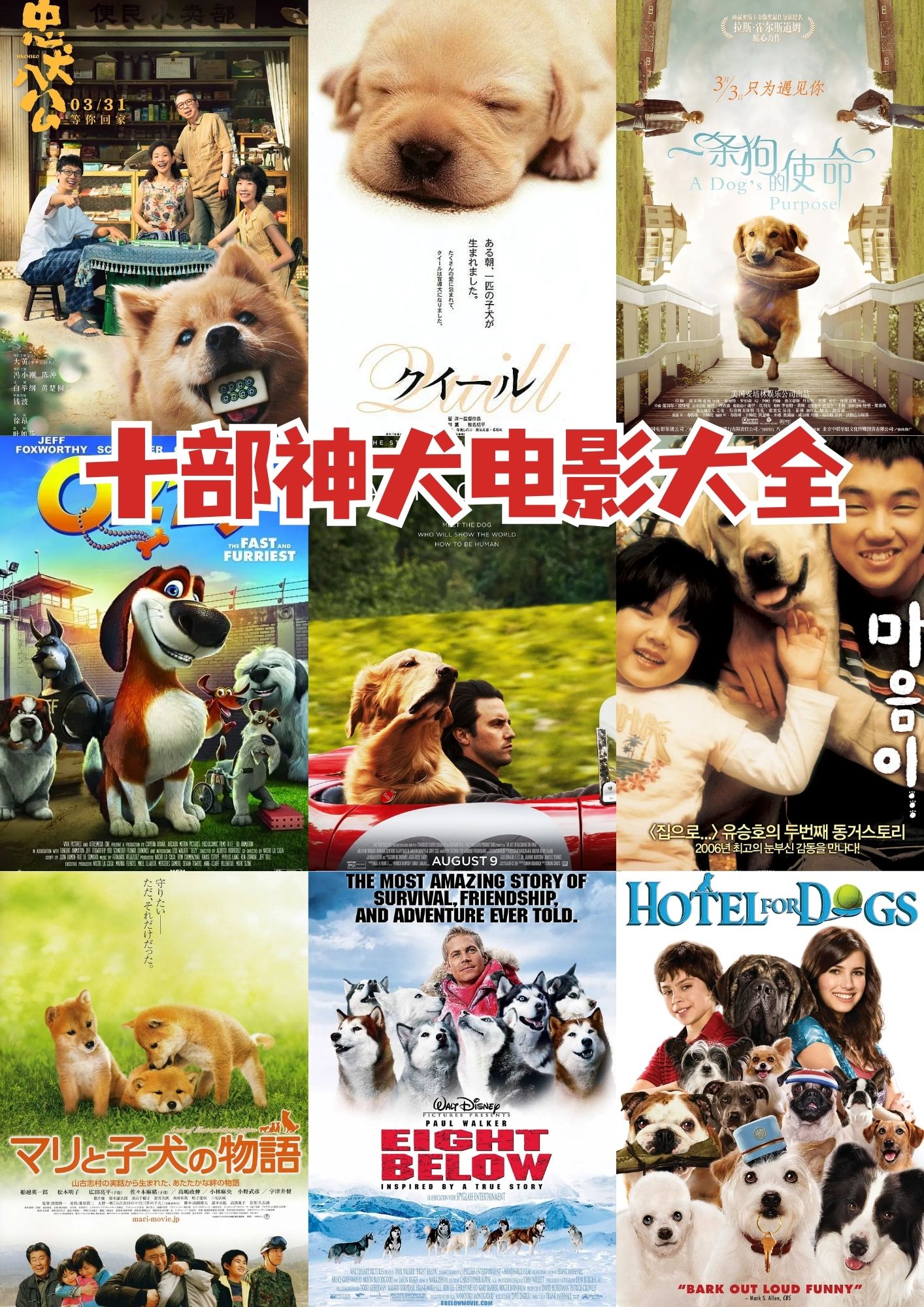 十部神犬电影大全