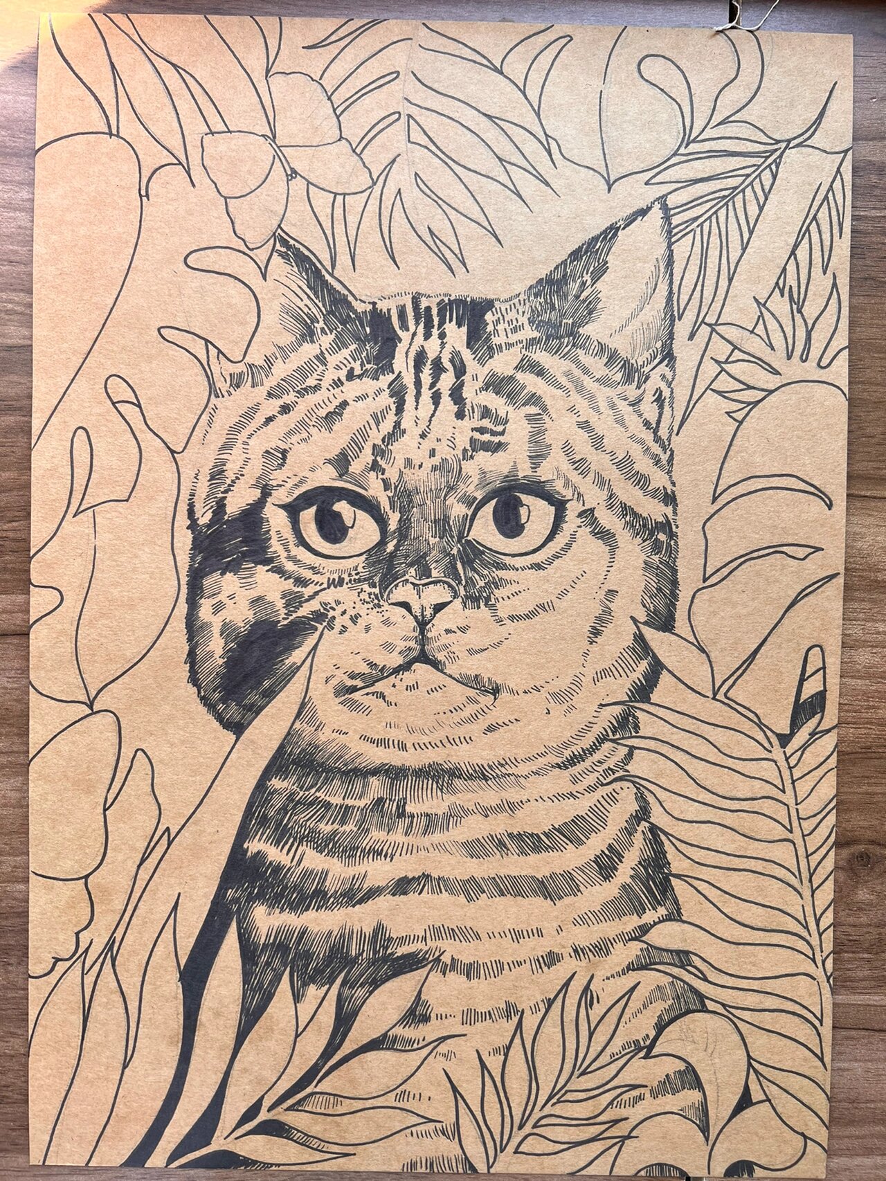 线描猫咪完整步骤图～ 线描猫咪步骤图