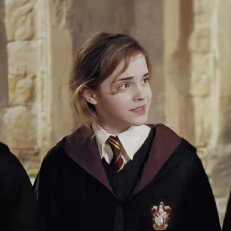 哈利波特头像合集,哈利好帅赫敏好美