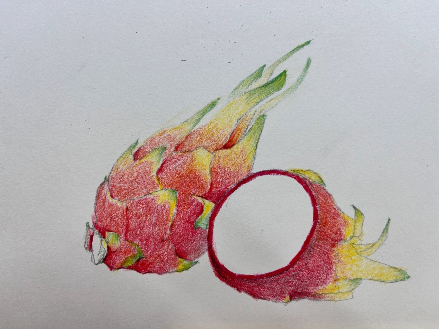 彩铅手绘·红红火火火龙果