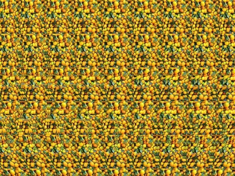 裸99153d平行眼图片第二弹,你能看出来几个