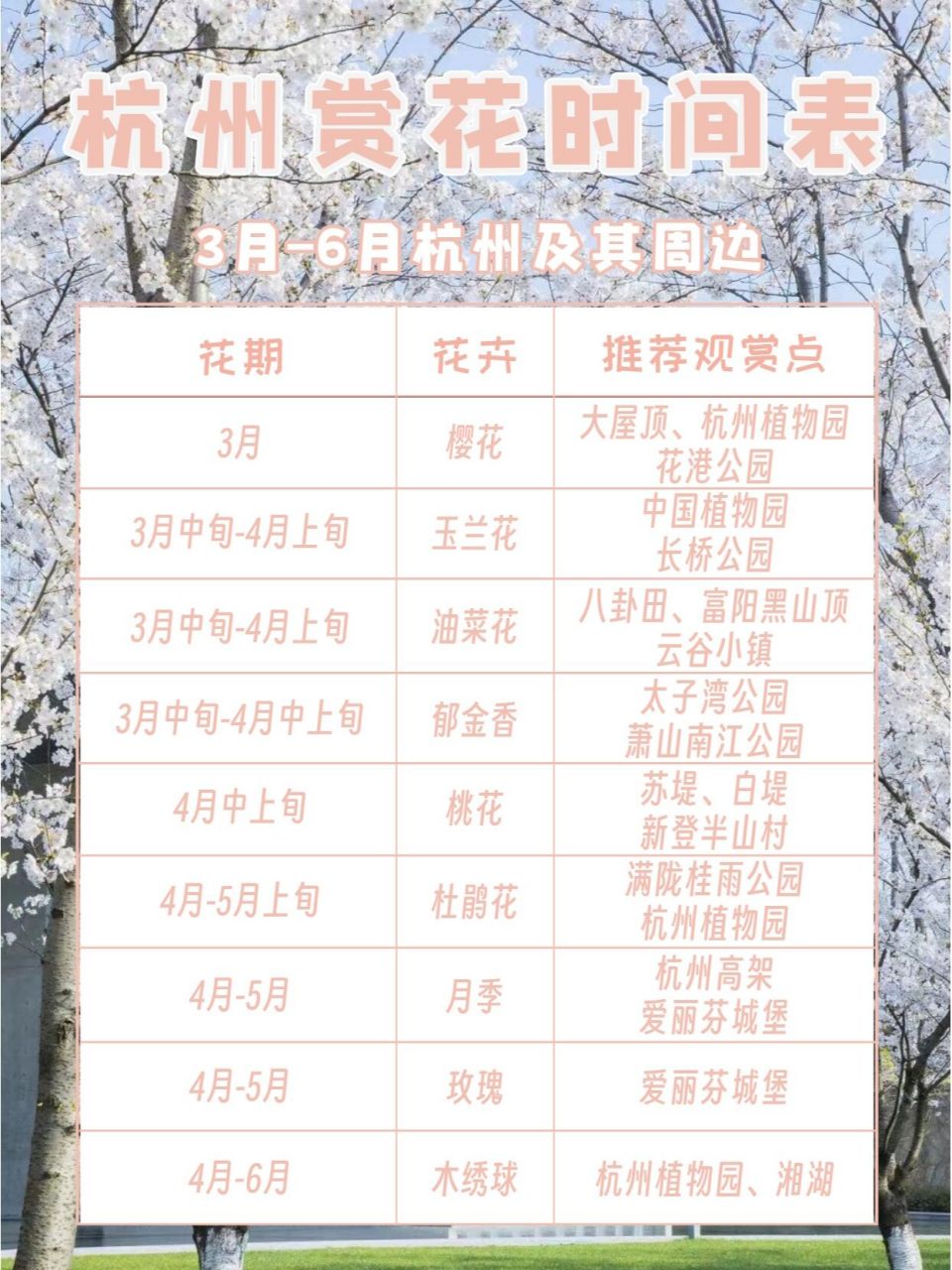 杭州赏花时间表 