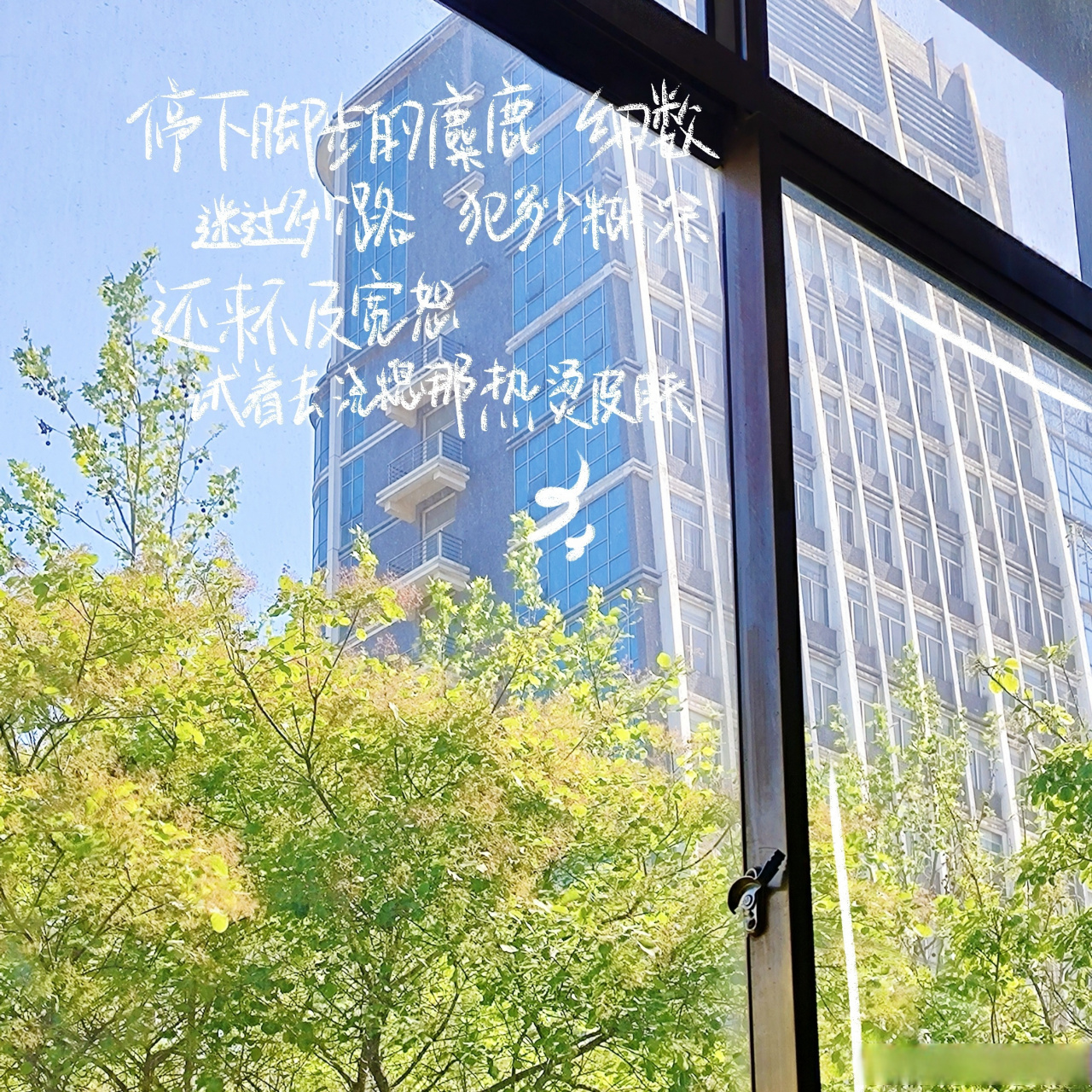 bmuer电台#  停下脚步的麋鹿细数 迷过多少路  犯多少糊涂 还来不及