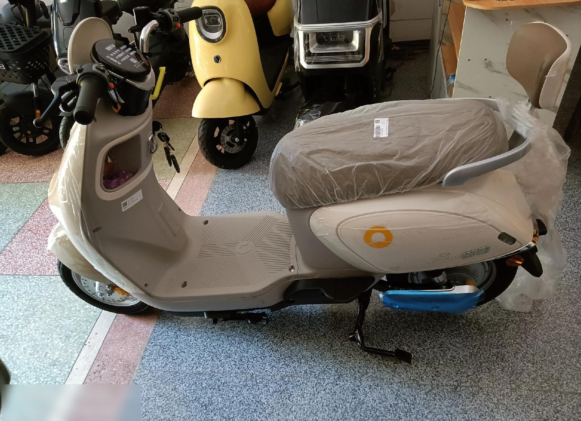 新日新国标丽影系列电动车