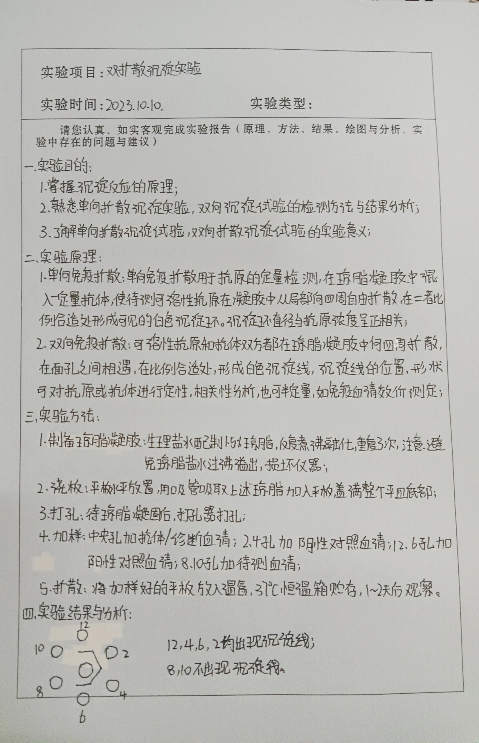 复层扁平上皮实验报告图片