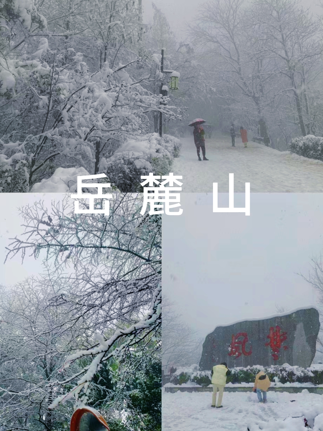 岳麓山的雪景的诗图片