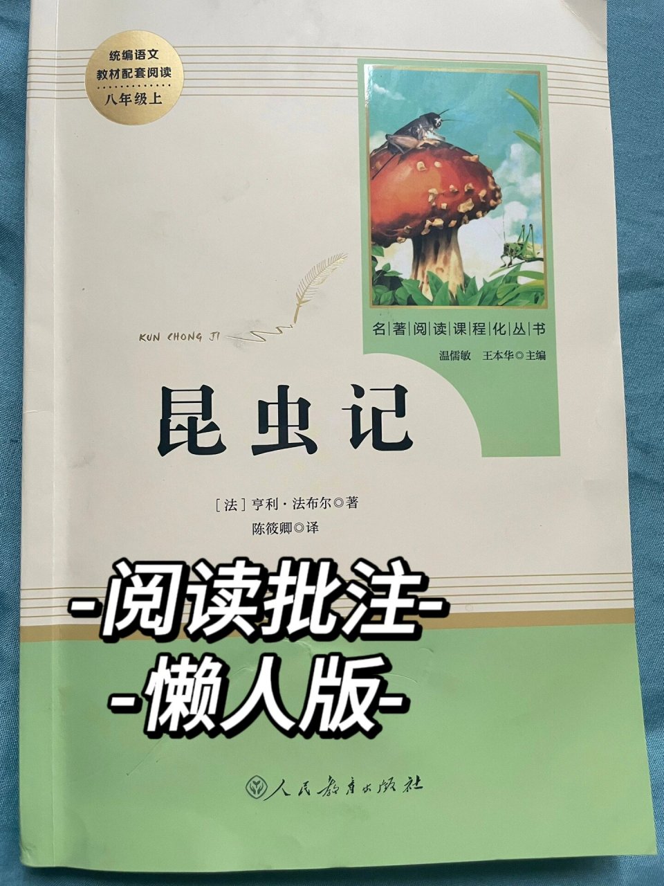 《昆虫记》批注(20)圣甲虫的造型术 简单又不敷衍的批注!