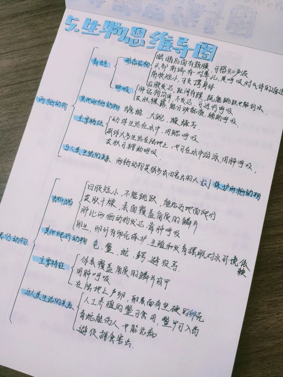 八上生物思维导图5 两栖动物和爬行动物(具体内容在主页笔记里)