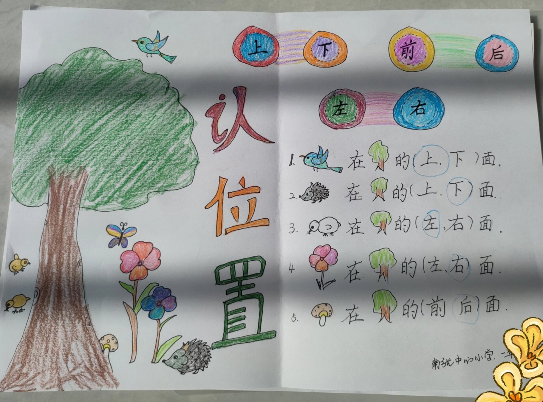 数学小报"认位置" 刚上一年级的孩子对基本方位"上下,前后,左右,里外"