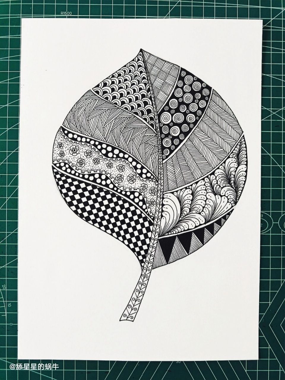 线描创作‖原创黑白线描画《叶子》图文版 一片叶,两片叶,片片叶,将你