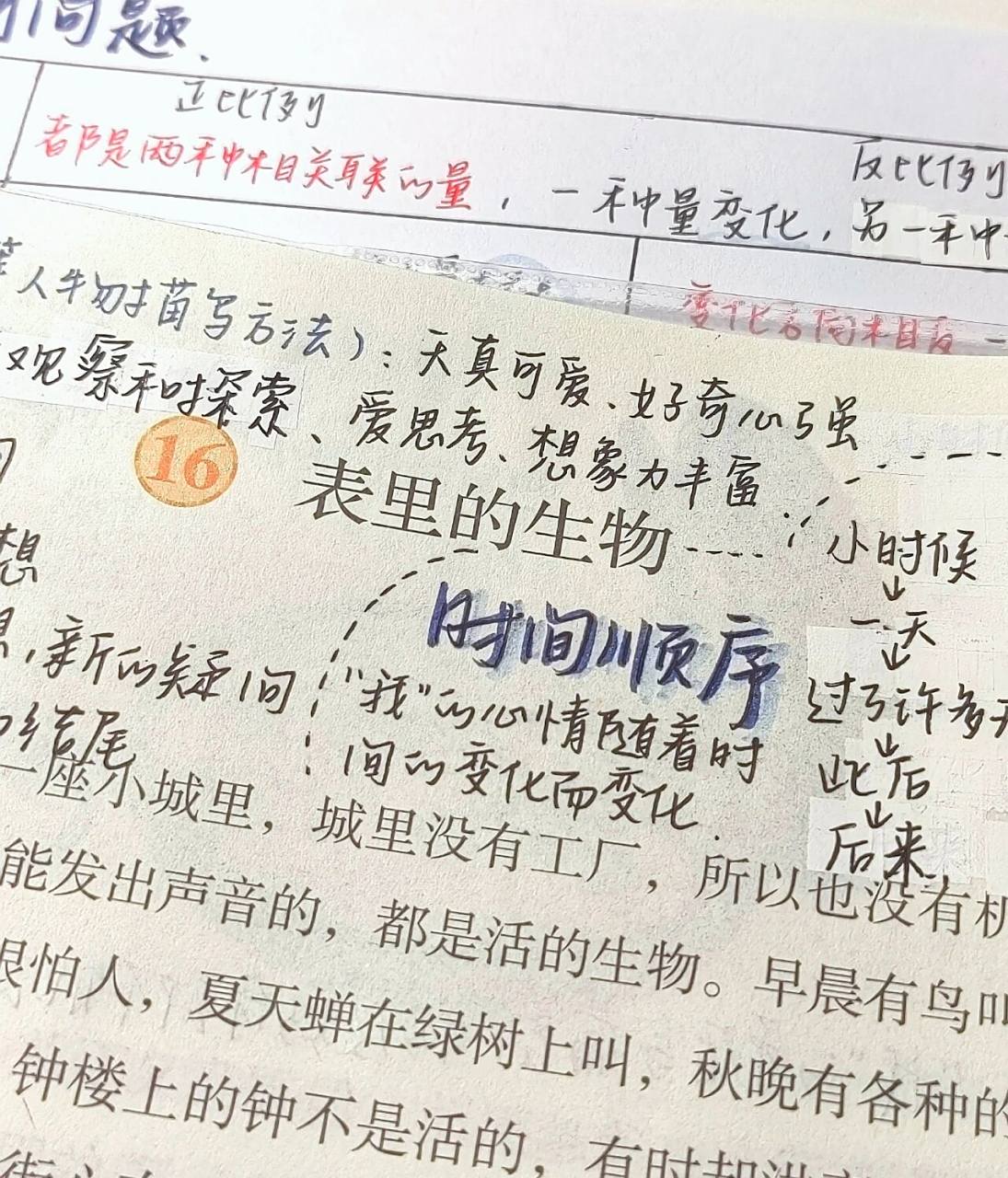 六下语文77十六课《表里的生物》笔记