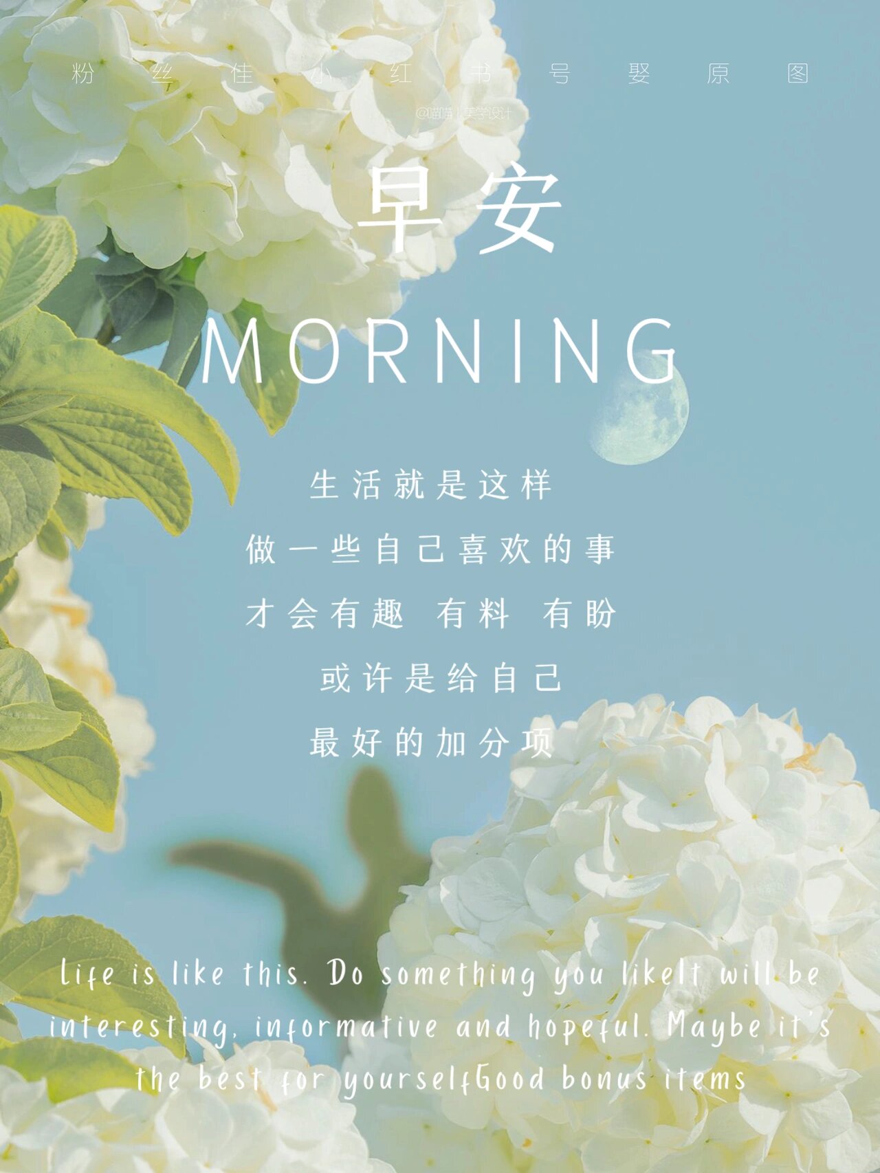 早安朋友圈文案朋友圈美学背景图 积极阳光也温柔正能量的发圈文案