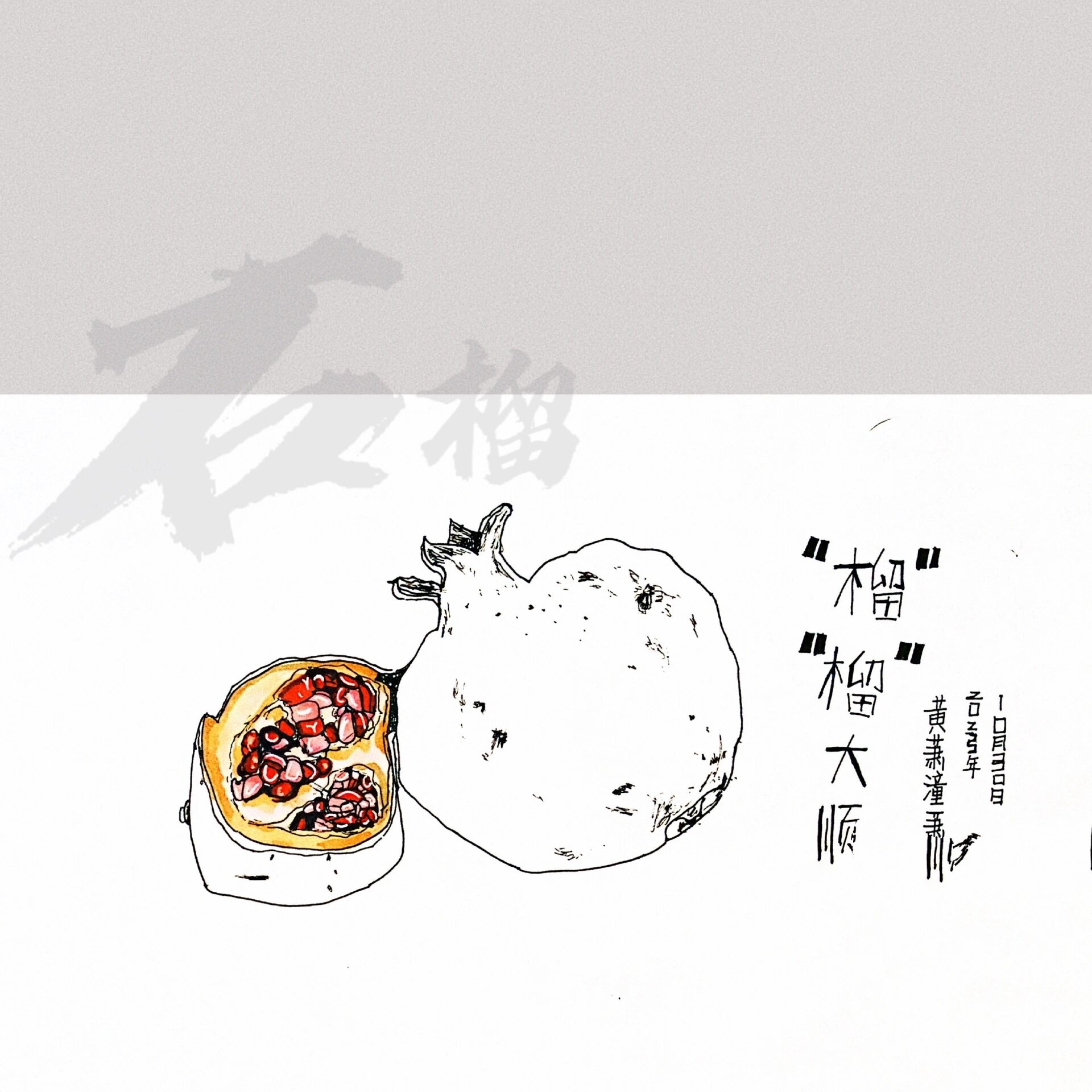 3-4年级实物写生「石榴」