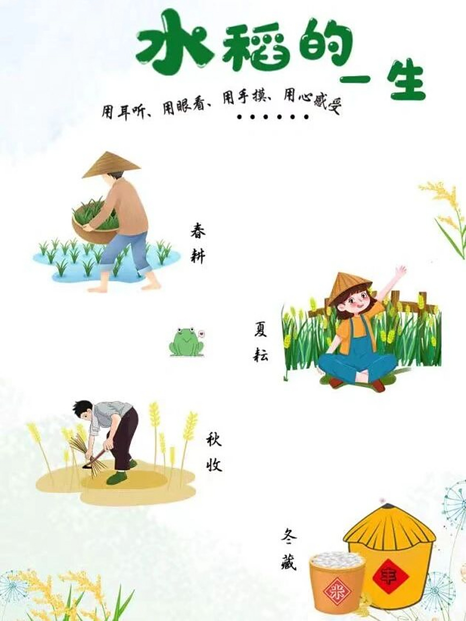 是杂交水稻之父袁隆平爷爷 还是李子柒姐姐视频里的中国传统浪漫故事