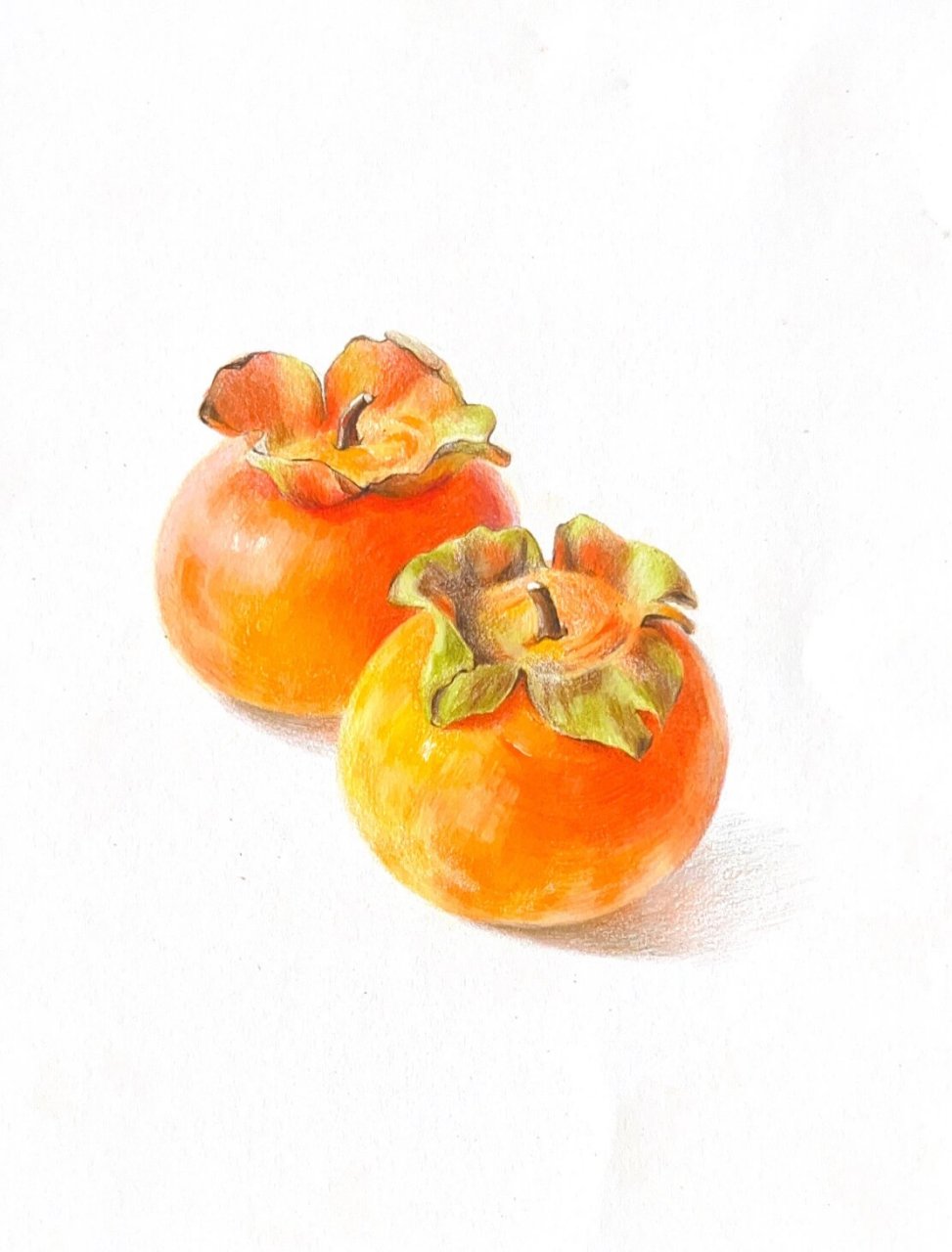 彩铅柿子 再来一幅彩铅版