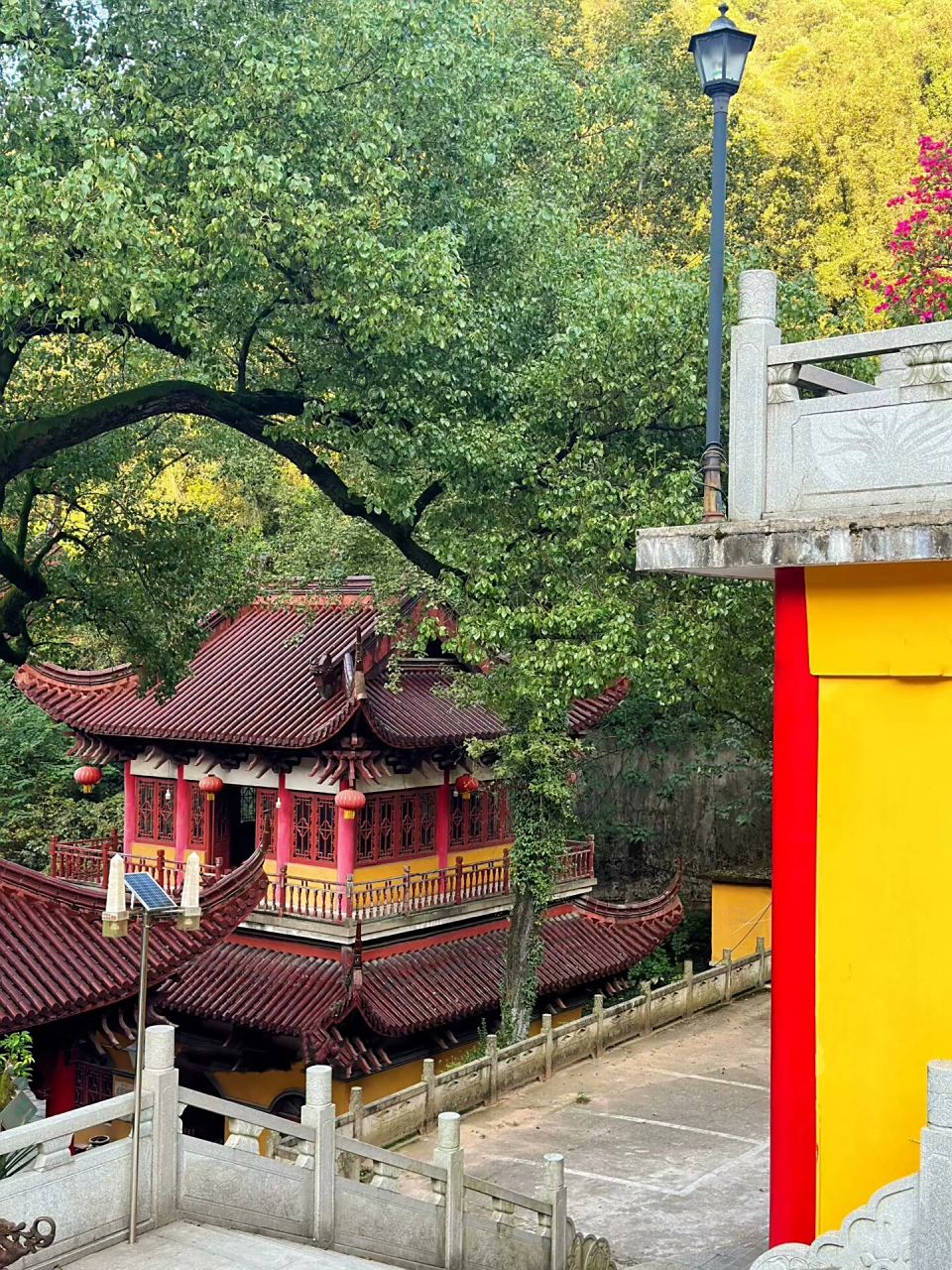东岳护国寺—逛寺院 手机摄影