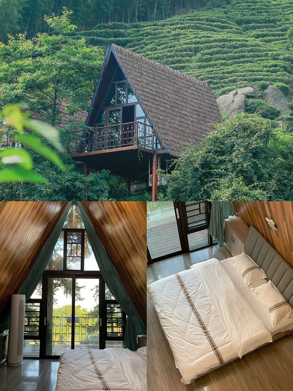 长沙黑麋峰旅游攻略97附详细玩乐地图指南  黑麋峰森林公园,怎么都