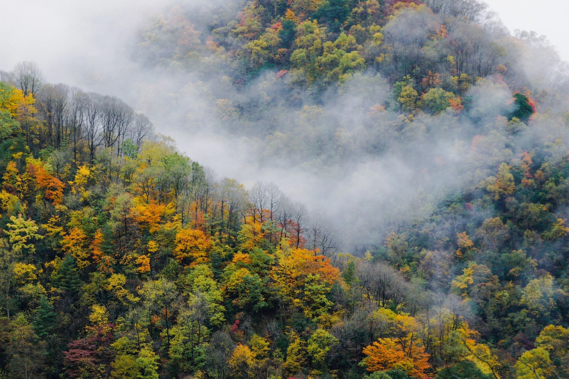 大巴山的秋天 分享一组老照片
