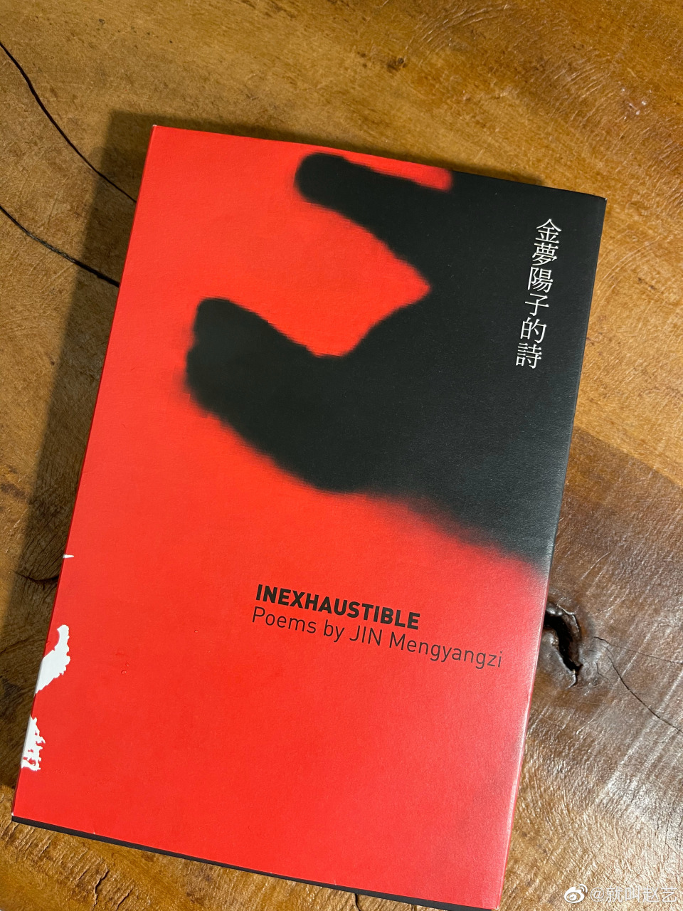 诗太美丽 美梦的诗  做个好梦 @演员金梦阳子