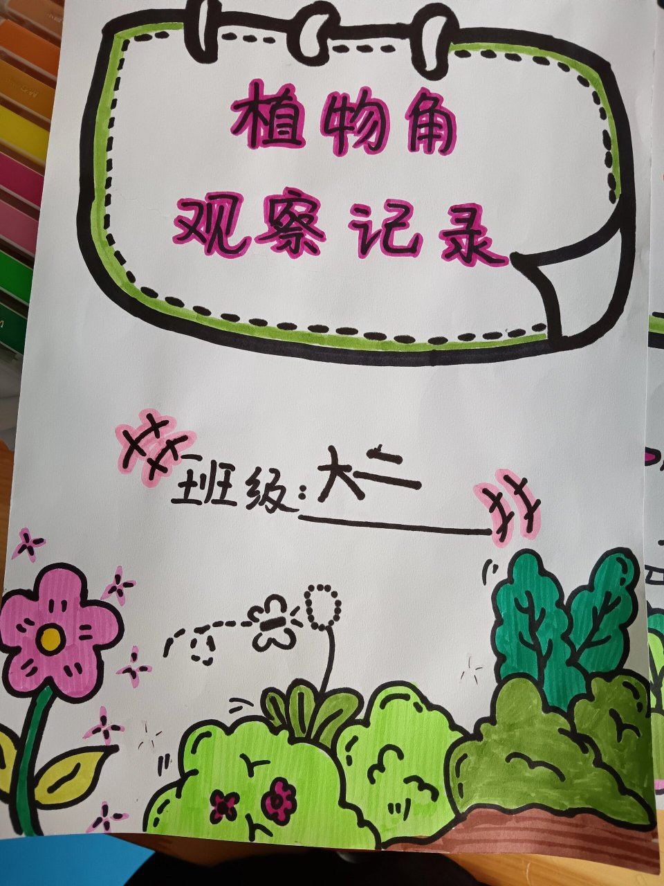 植物角观察记录封面 手绘