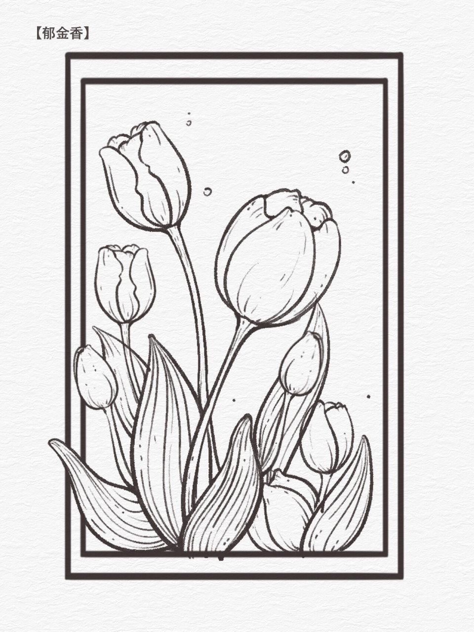 零基础学插画|花卉线稿合集六宫格~ 二月的花花线稿六宫格 甘菊,铃兰