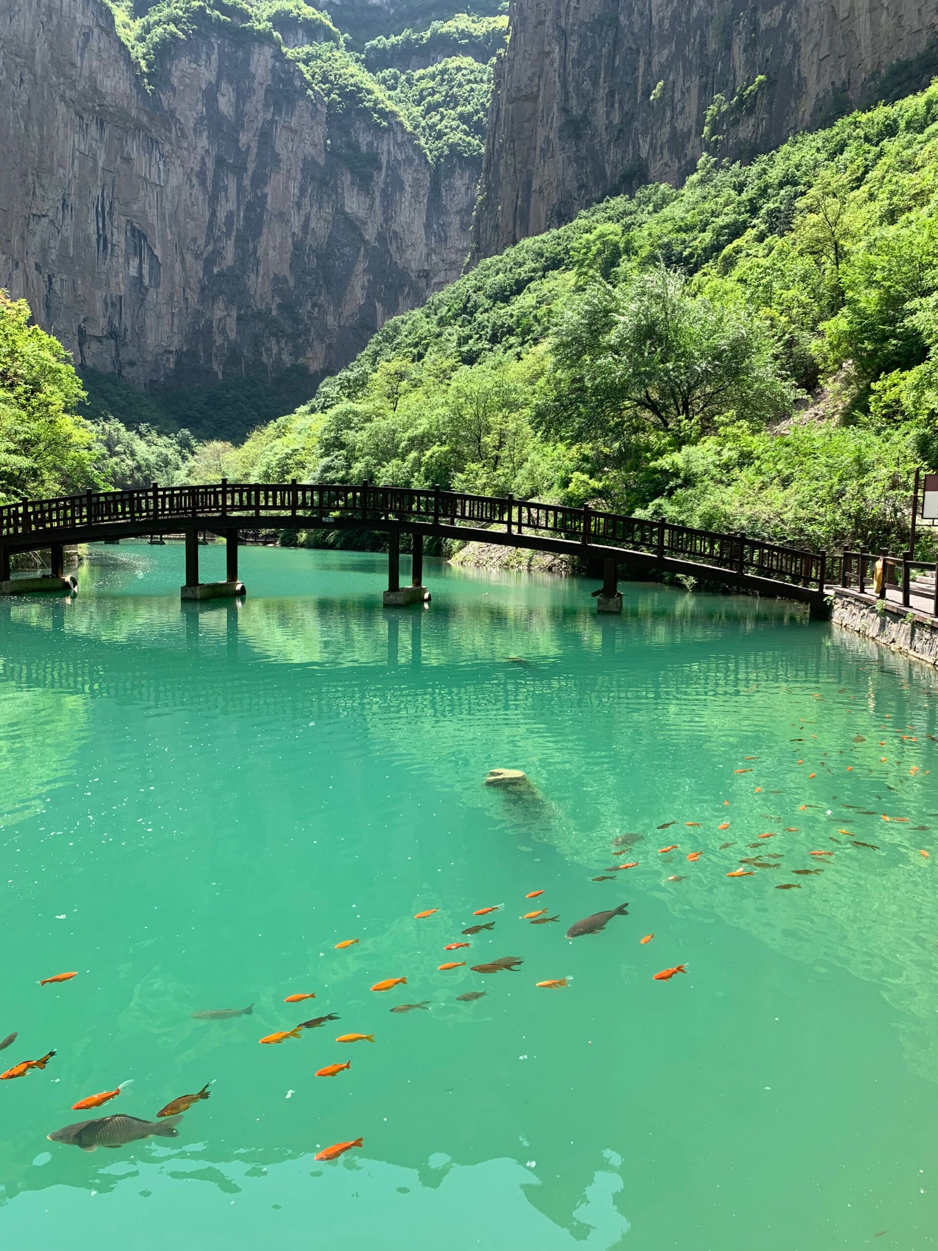 通天峡大酒店几星图片