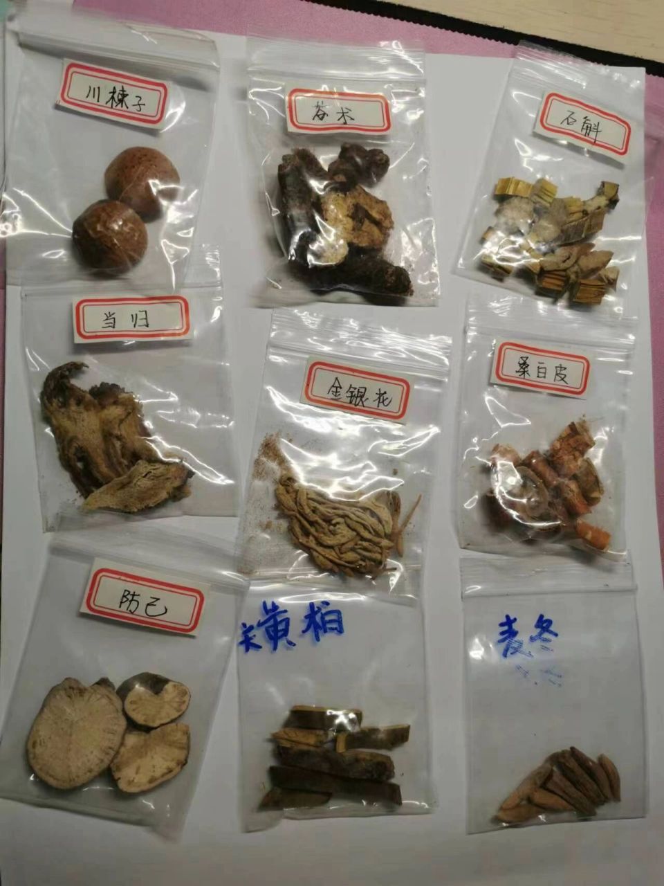 中药鉴定 中药饮片识别