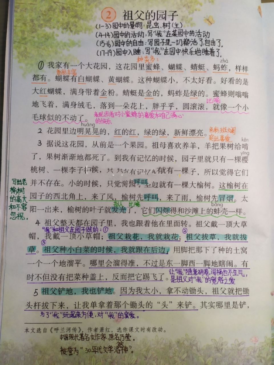《祖父的园子》课文笔记 更新啦更新啦,这是下册第二课笔记 第一课