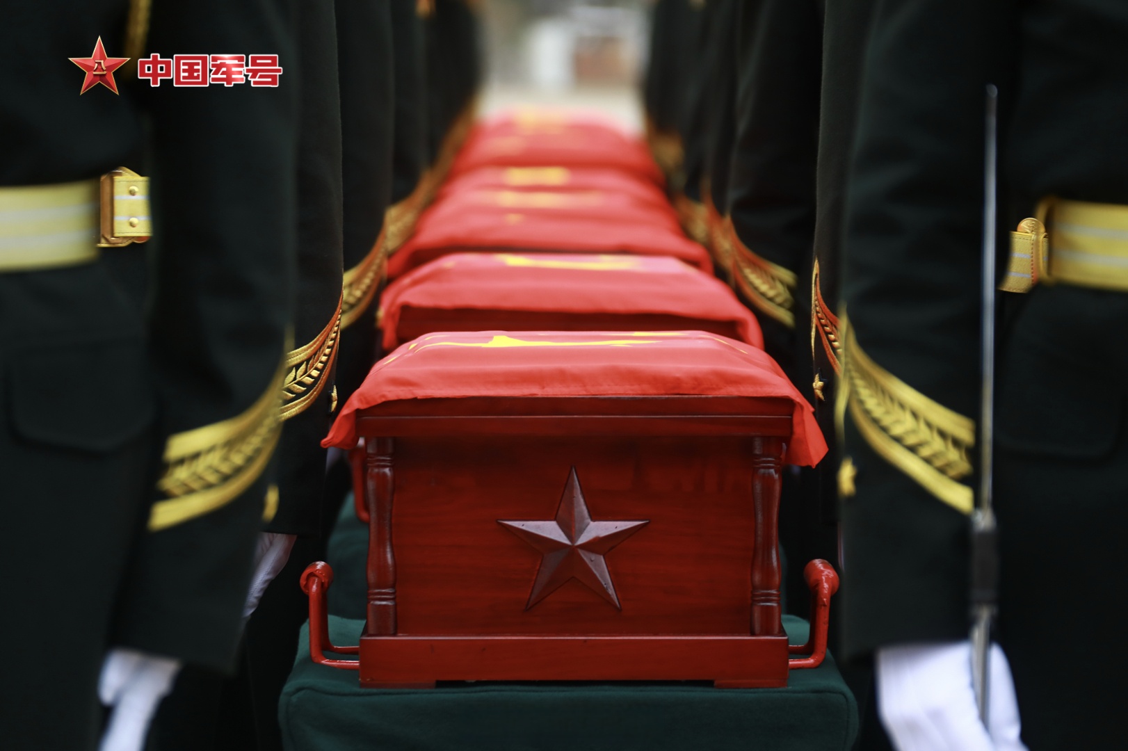 礼兵庄严护送志愿军烈士棺椁#】11月29日上午,第十一批在韩中国人民