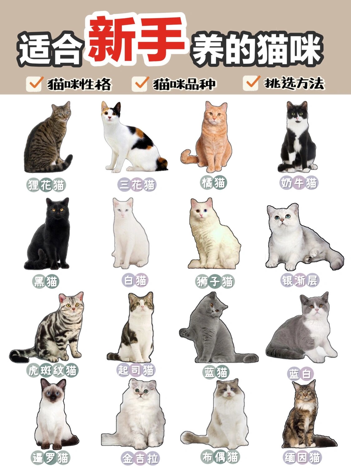 狮子猫情侣头像图片