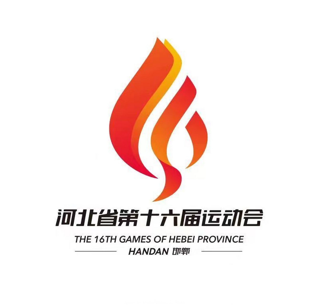 邯郸##聚焦河北省第十六届运动会# 【#聚焦省运会#  | 团队协作 "
