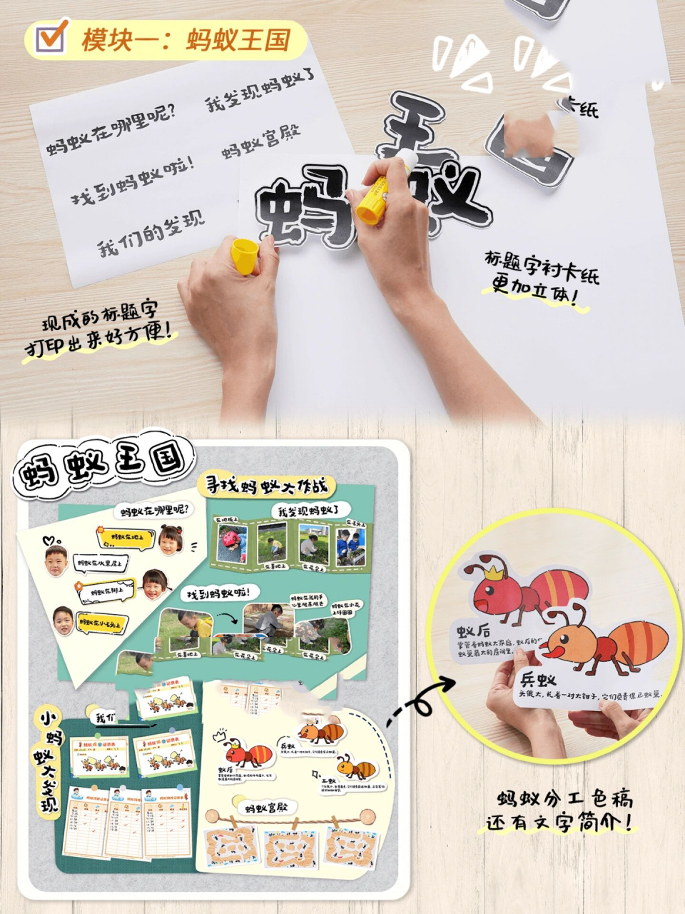 幼儿园中班主题活动 |《昆虫记》94 92蚂蚁的观察记录, 93昆虫