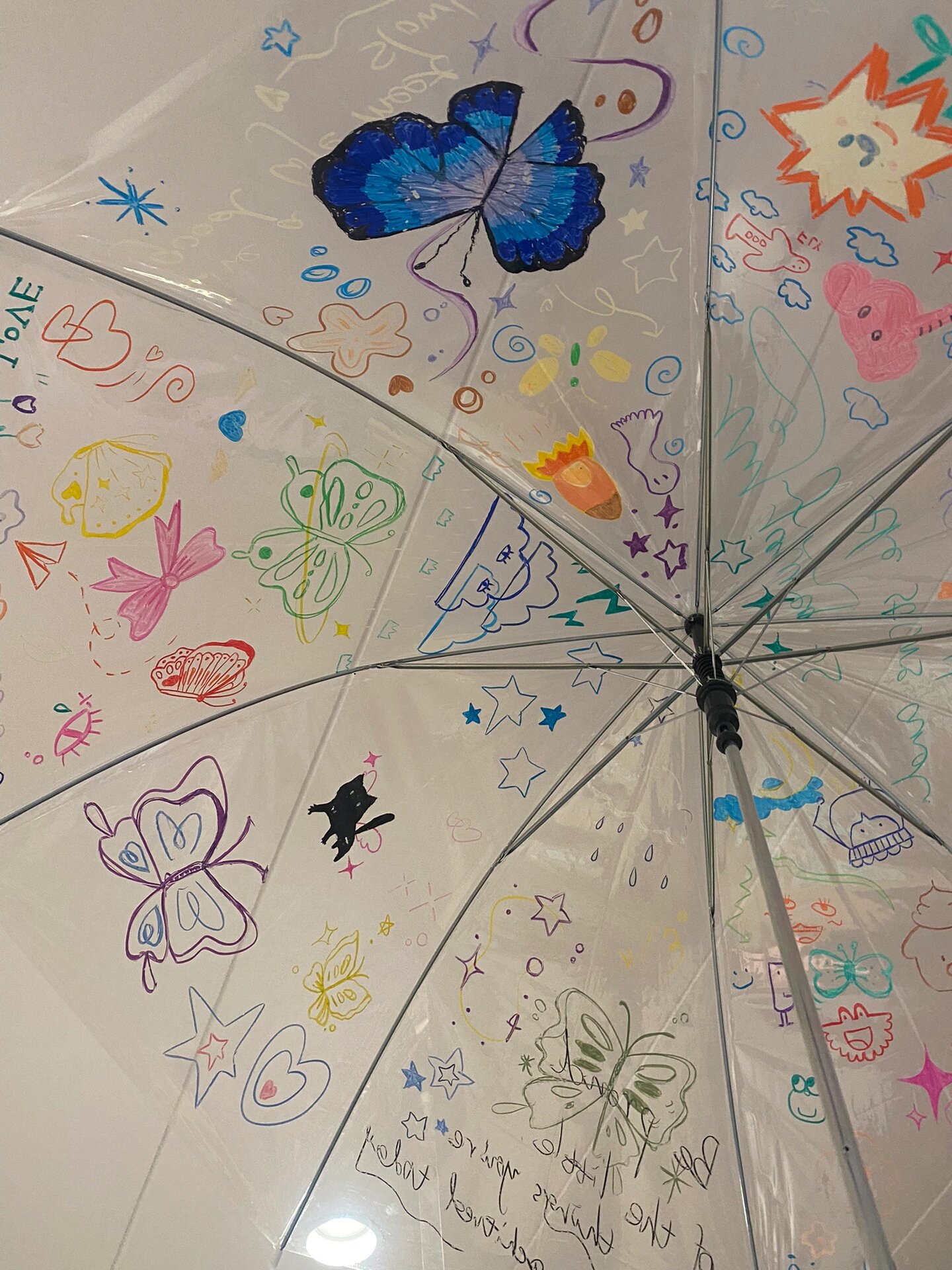 透明伞手绘
