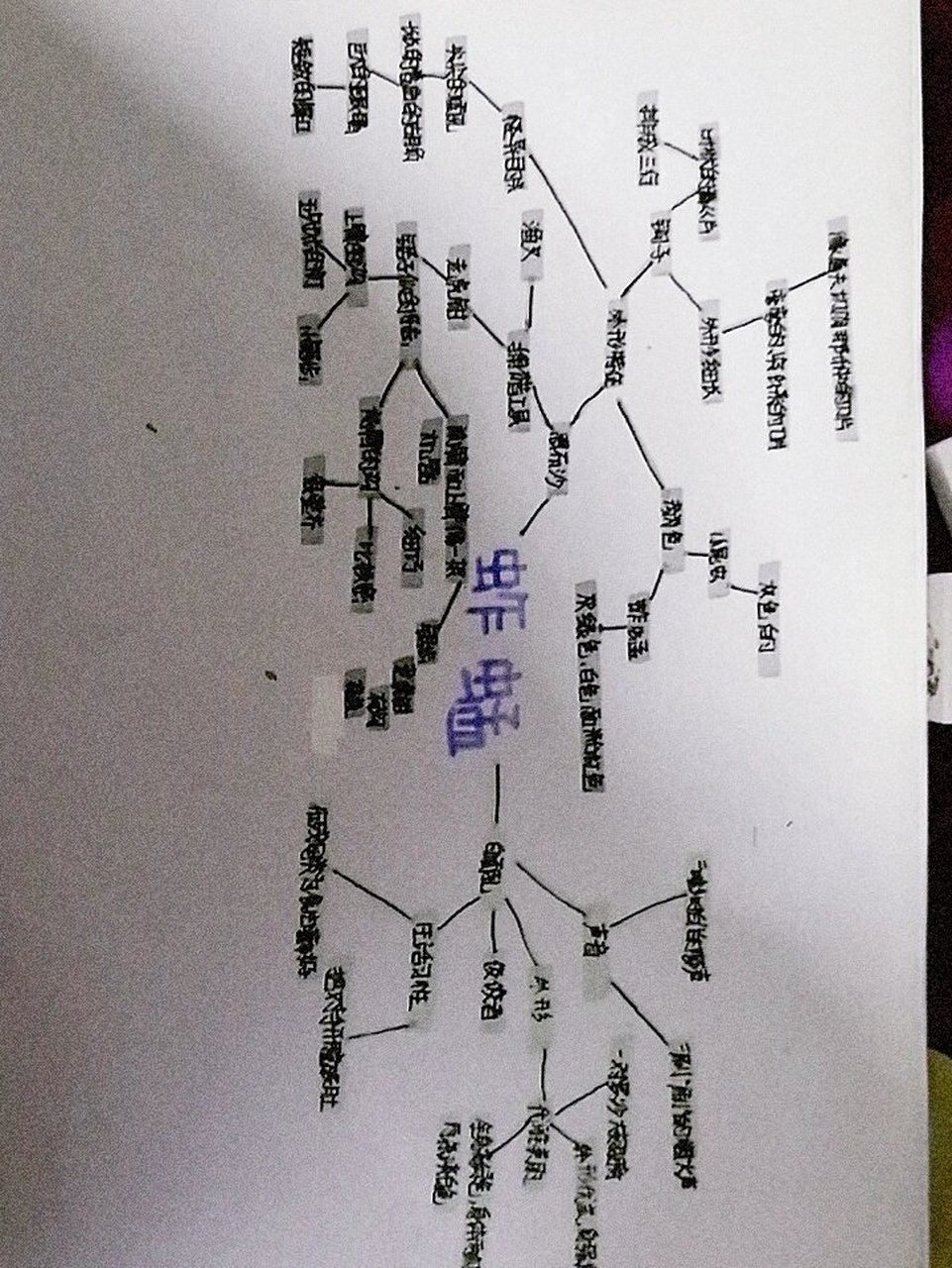 蚂蚱思维导图怎么画图片